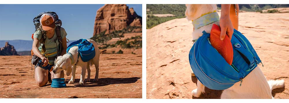 Ruffwear Approach backpack for dogs