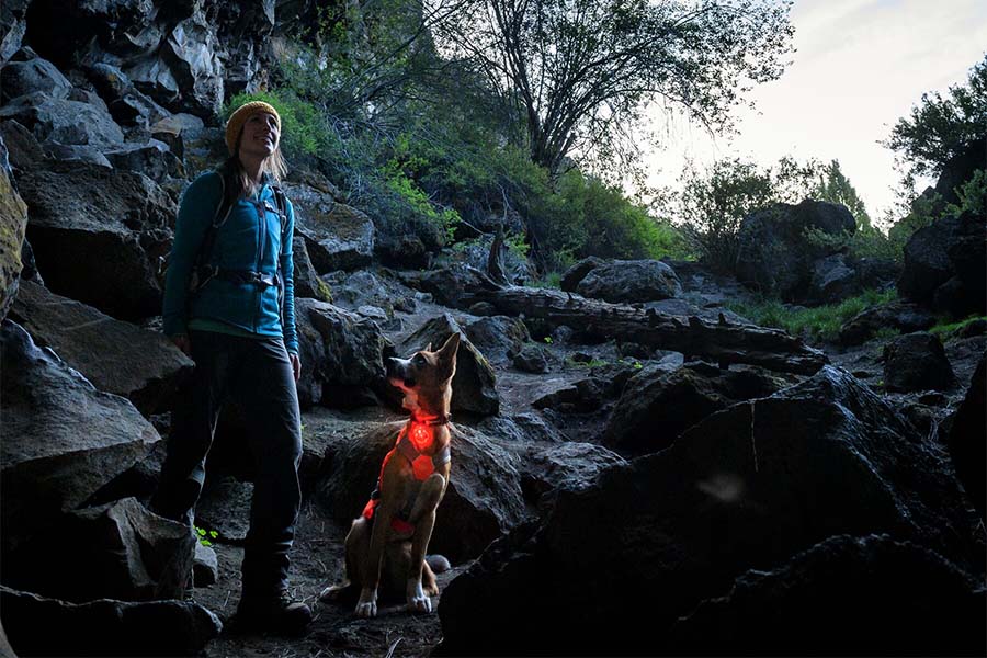 The Beacon dog light by Ruffwear 