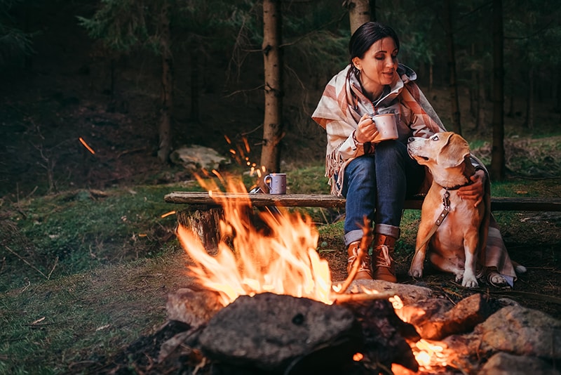 Nights Under the Stars: Camping with Dogs