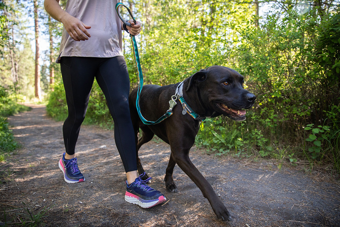 New Ruffwear Crag Leash for 2020