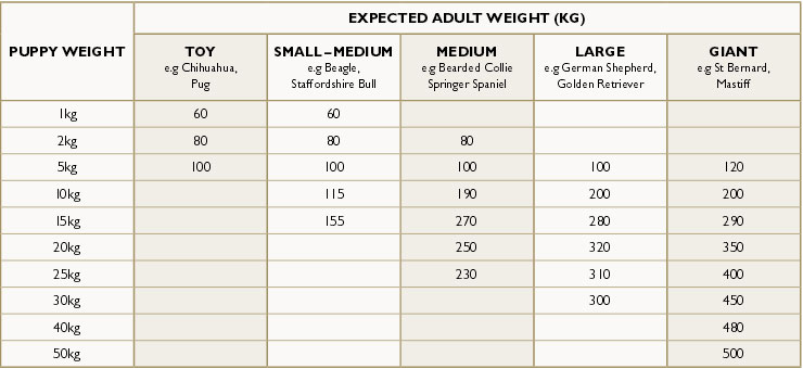 tribal dog food feeding guide