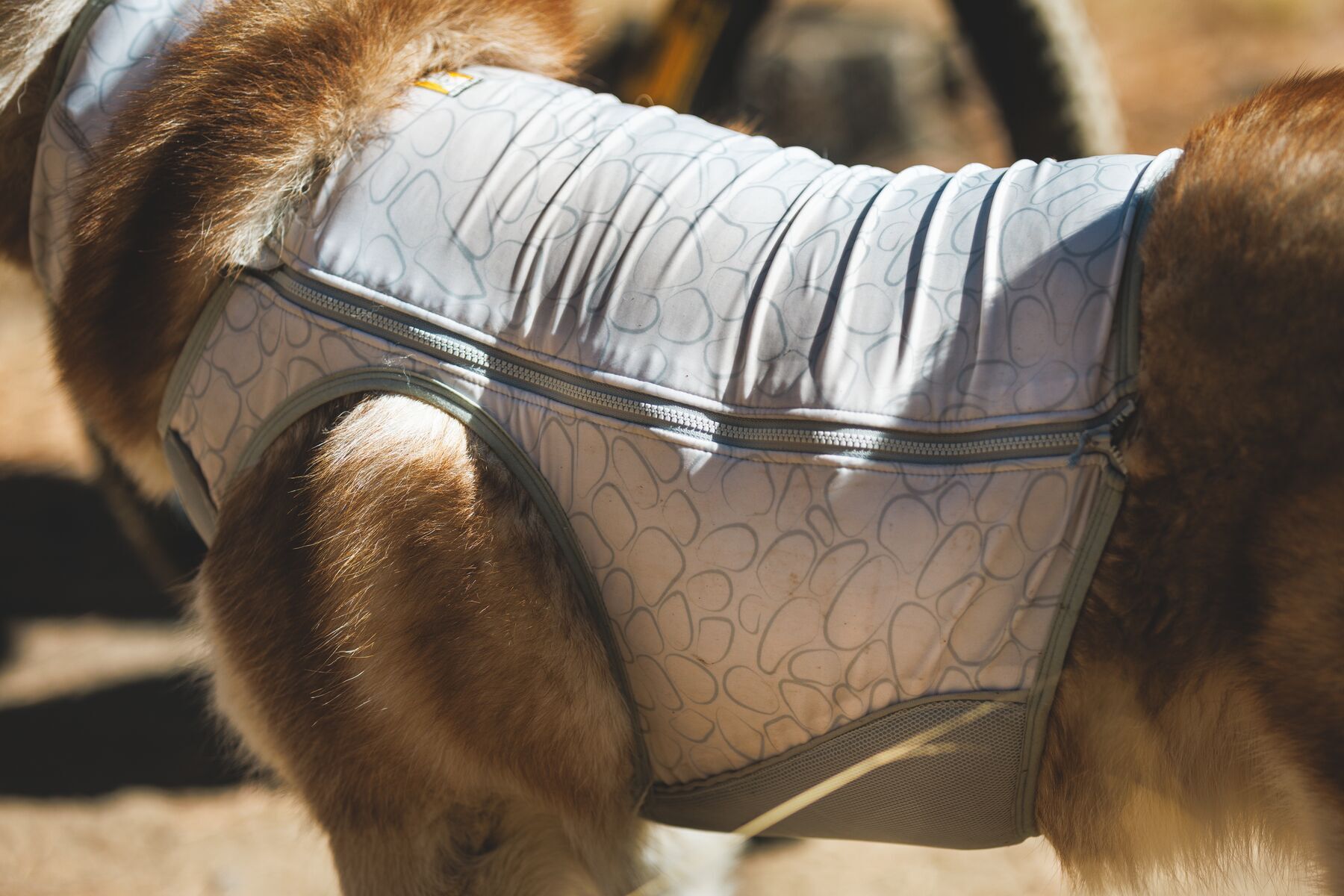 Swamp cooler zip vest by Ruffwear