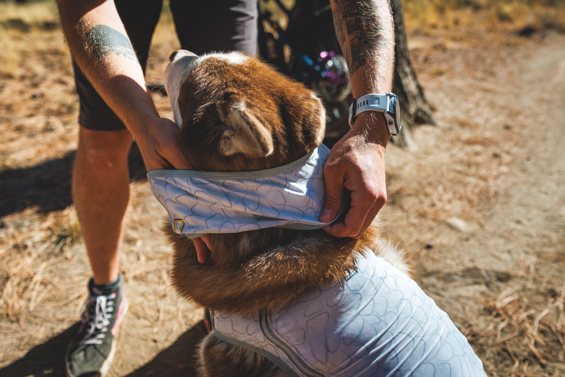 Swamp cooler Neck Gaiter by Ruffwear